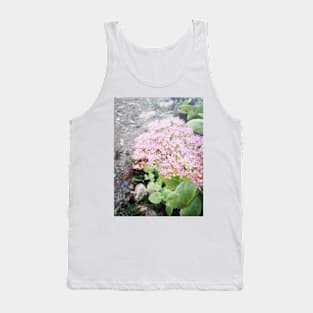 Stonecrop - Hylotelephium spectabile Tank Top